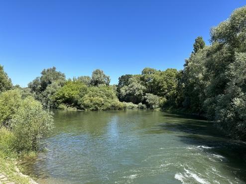 Die Flussbestattung im Rhein für Ober-Olm