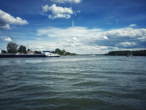 Die Flussbestattung im Rhein für Ober-Olm