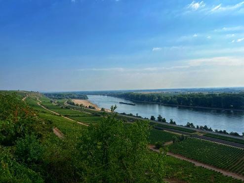 Die Rheinbestattung für Ober-Olm
